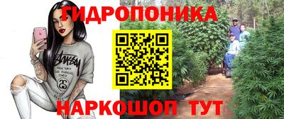 гашик Северобайкальск