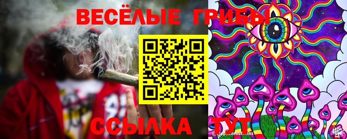 Галлюциногенные грибы мухоморы Северск